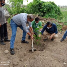 Social Initiatives (15) Social Initiatives (15)